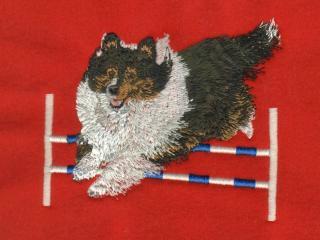 TriColored Shetland Sheepdog Over Jump Without Blaze