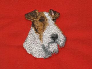 Fox Terrier, Wire Haired Head